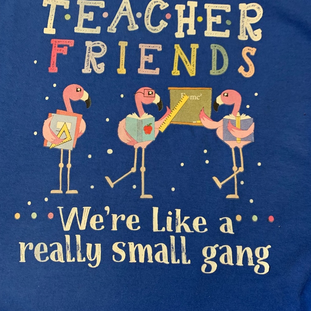 Teacher Friends Flamingo Tee Funny Graphic Shirt Size L - Picture 1 of 5